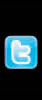 twitter icon